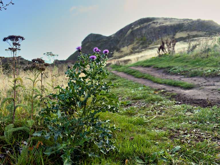 Arthur's Seat - Edinburgh