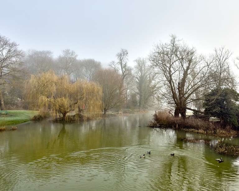 Foggy River Cam, Cambridge